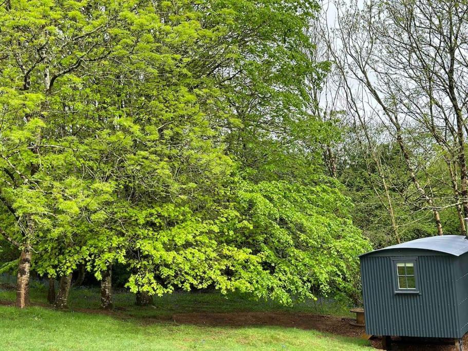 Cornwall Woodland Shepherd'S Hut Deirdres Hut Bodmin Bagian luar foto