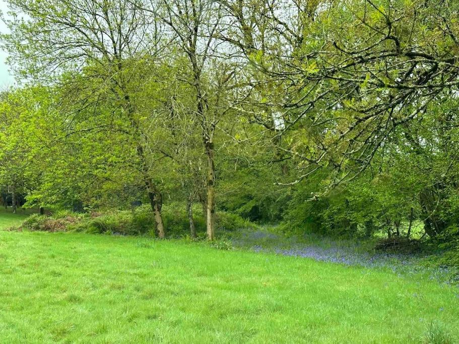 Cornwall Woodland Shepherd'S Hut Deirdres Hut Bodmin Bagian luar foto