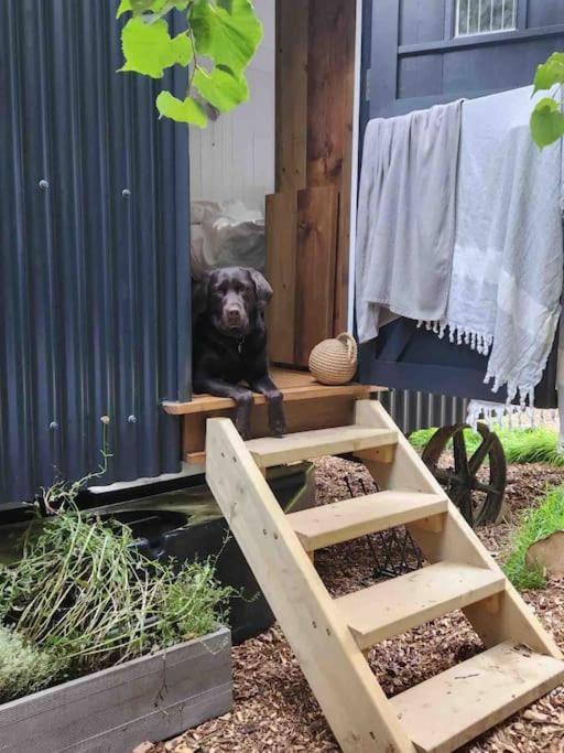 Cornwall Woodland Shepherd'S Hut Deirdres Hut Bodmin Bagian luar foto