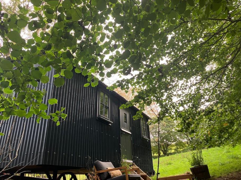 Cornwall Woodland Shepherd'S Hut Deirdres Hut Bodmin Bagian luar foto
