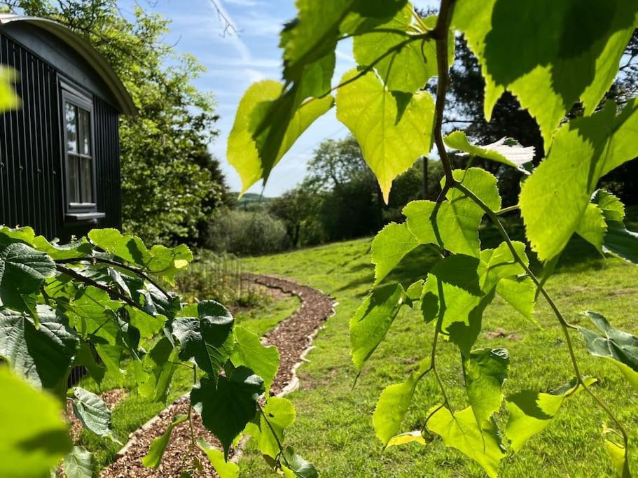 Cornwall Woodland Shepherd'S Hut Deirdres Hut Bodmin Bagian luar foto