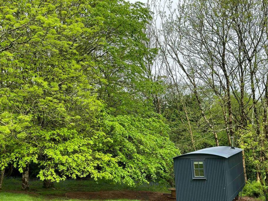 Cornwall Woodland Shepherd'S Hut Deirdres Hut Bodmin Bagian luar foto