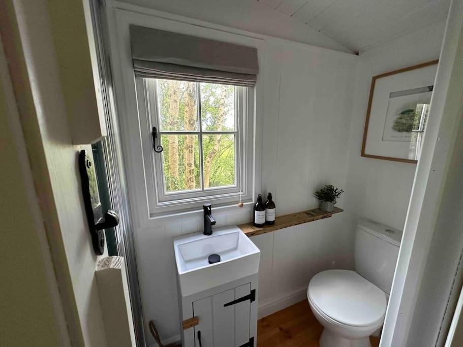 Cornwall Woodland Shepherd'S Hut Deirdres Hut Bodmin Bagian luar foto